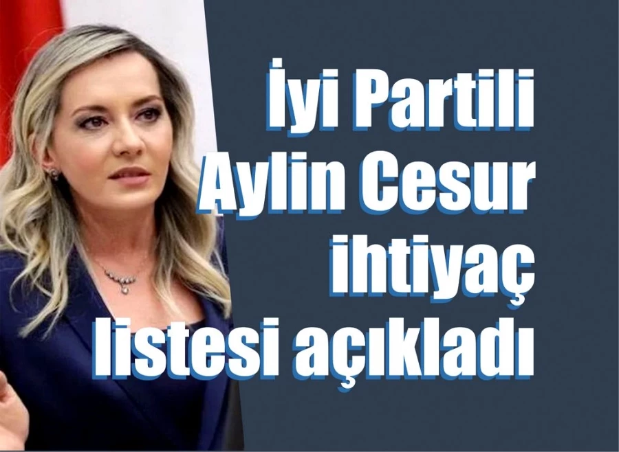 İyi Partili Aylin Cesur, ihtiyaç listesi açıkladı