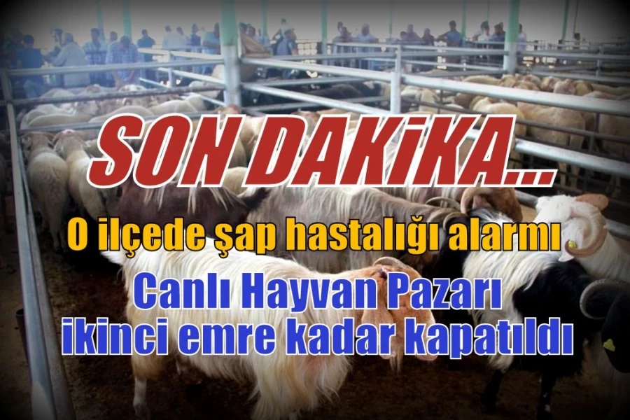 Sarıgöl Canlı Hayvan Pazarı ikinci emre kadar kapatıldı