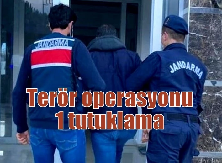 Terör operasyonu: 1 tutuklama