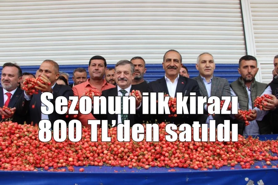 Sezonun ilk kirazı 800 TL’den satıldı