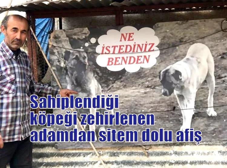 Sahiplendiği köpeği zehirlenen adamdan sitem dolu afiş