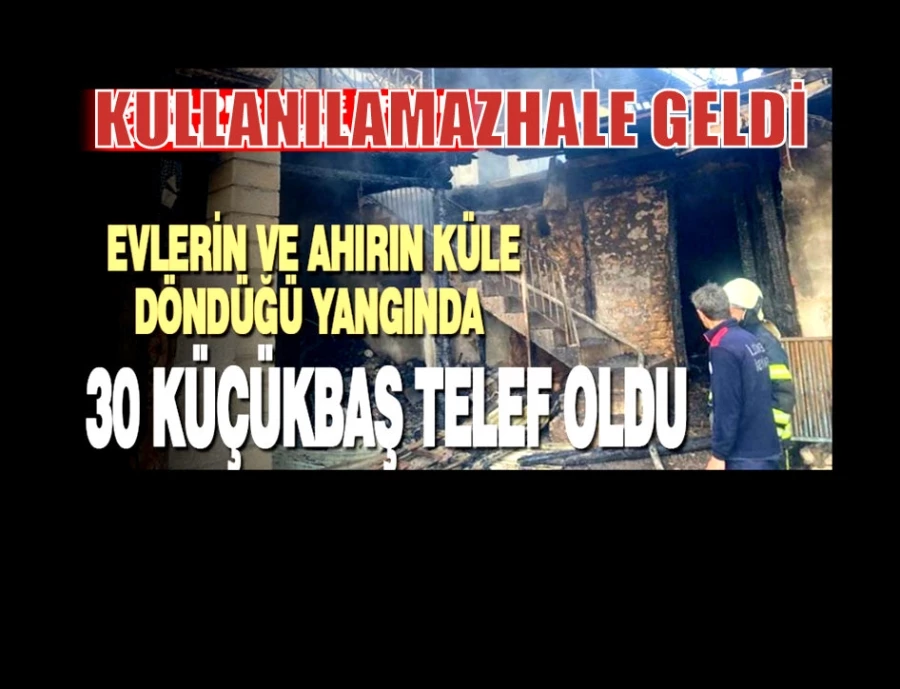 Evlerin ve ahırın küle döndüğü yangında 30 küçükbaş telef oldu