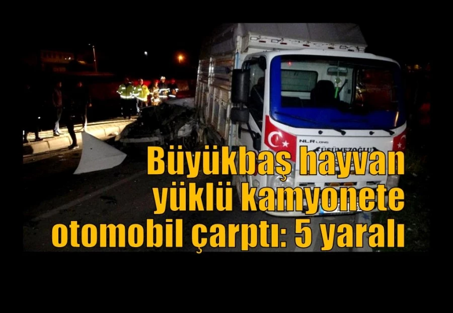 Büyükbaş hayvan yüklü kamyonete otomobil çarptı: 5 yaralı