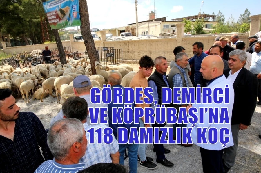 GÖRDES, DEMİRCİ VE KÖPRÜBAŞI’NA 118 DAMIZLIK KOÇ