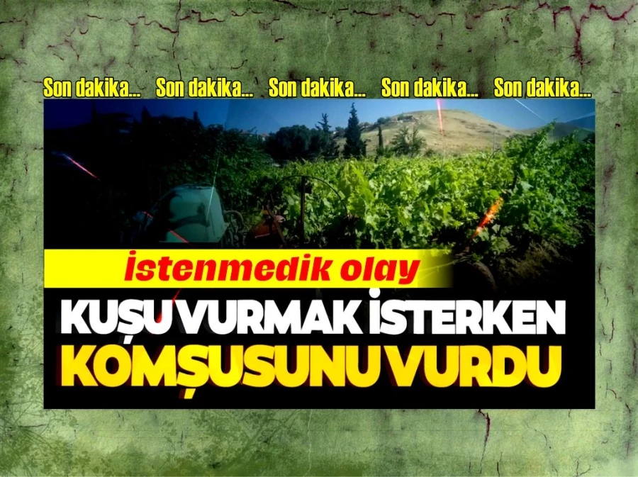 Kuşu vurmak isterken komşusunu vurdu