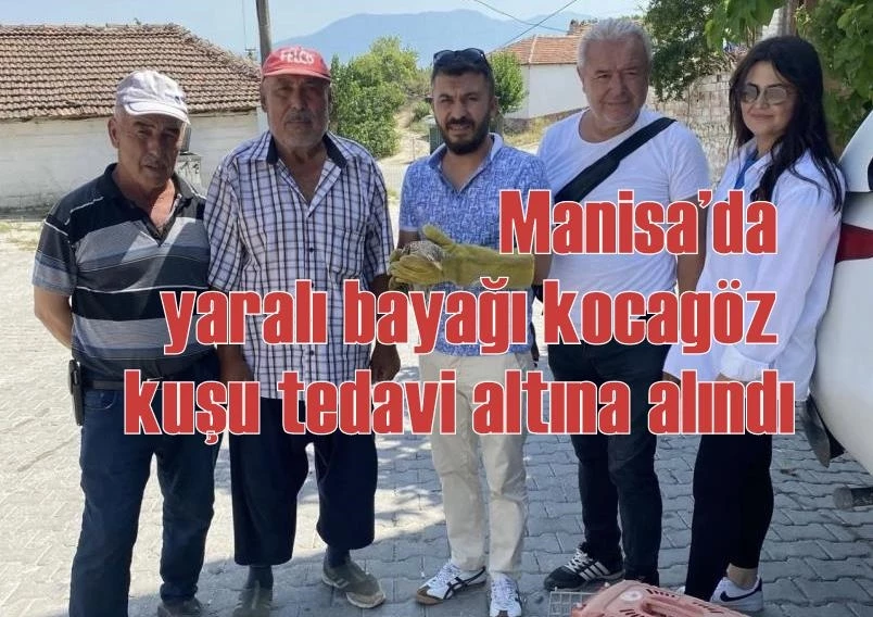 Manisa’da yaralı bayağı kocagöz kuşu tedavi altına alındı