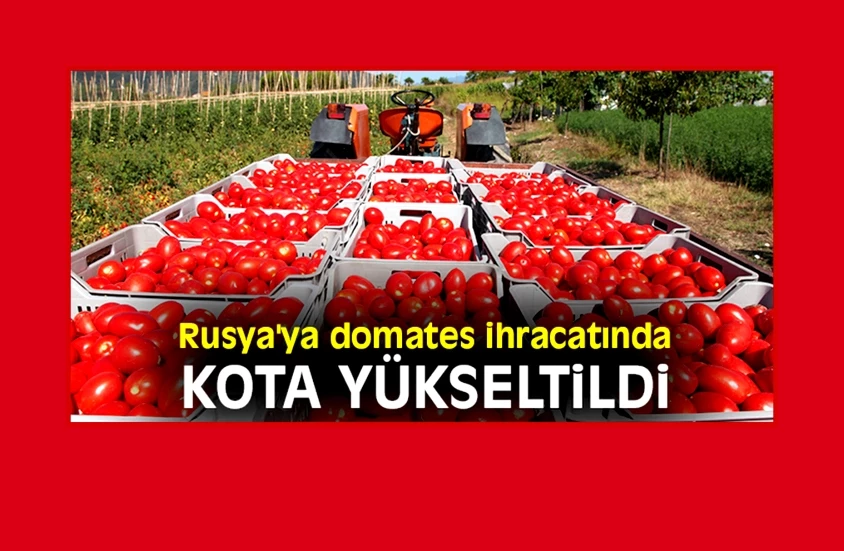 Rusya’ya domates ihracatı kotası 500 bin tona çıktı