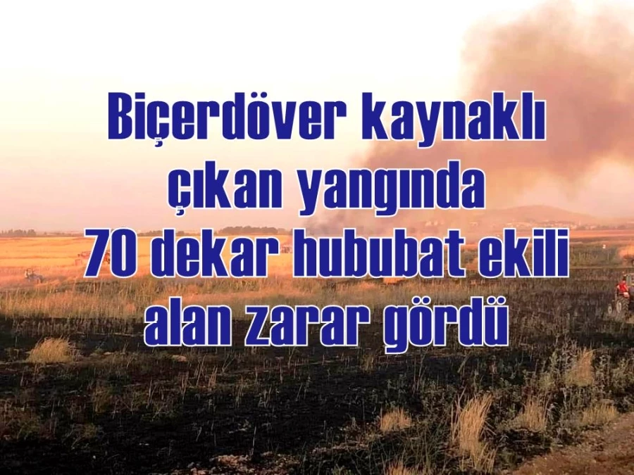 Biçerdöver kaynaklı çıkan yangında 70 dekar hububat ekili alan zarar gördü