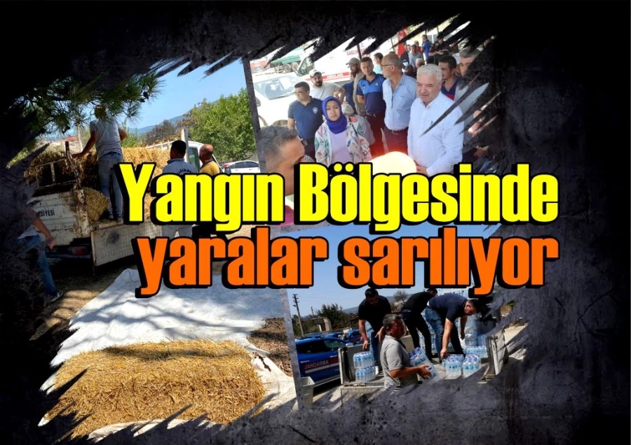 Yangın Bölgesinde yaralar sarılıyor