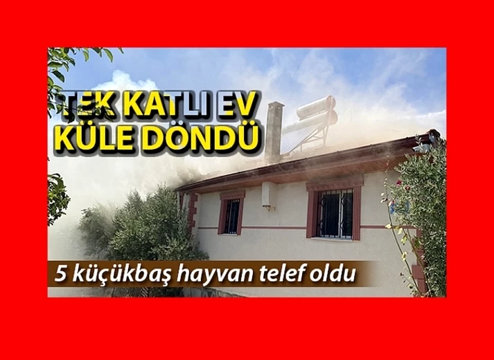 Tek katlı evde çıkan yangında 5 küçükbaş hayvan telef oldu