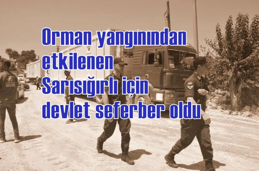 Orman yangınından etkilenen Sarısığırlı için devlet seferber oldu