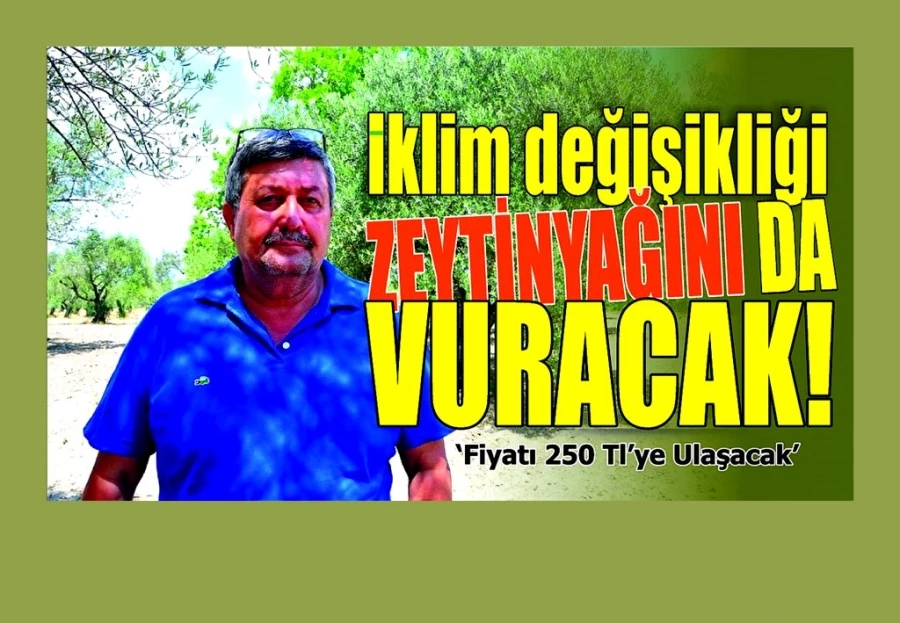 İklim değişikliği zeytinyağını da vurdu