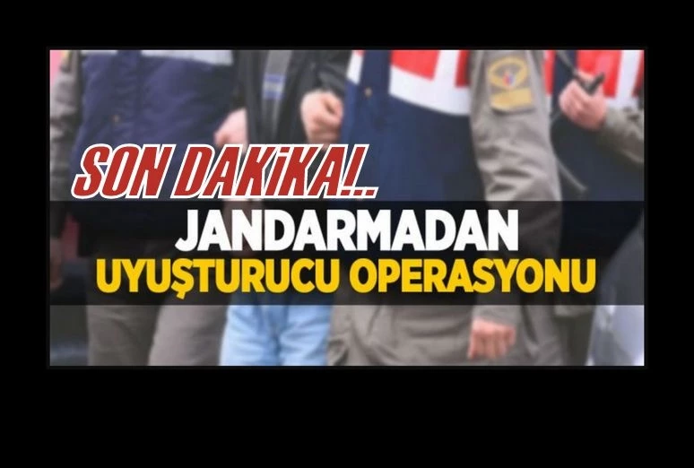 Jandarmadan uyuşturucu operasyonu