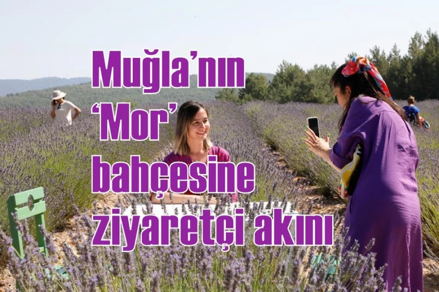 Muğla’nın ‘Mor’ bahçesine ziyaretçi akını