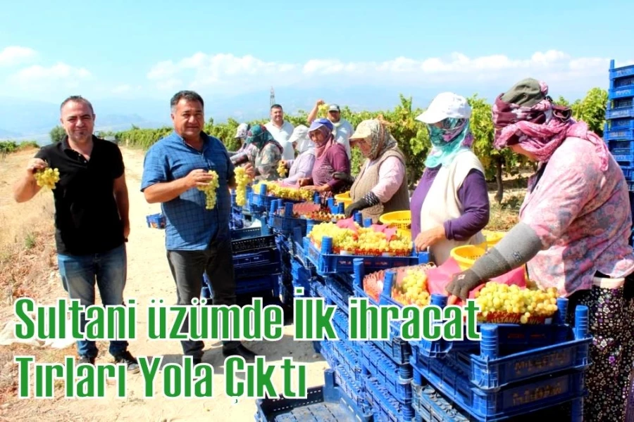 Sultani üzümde ilk ihracat tırları yola çıktı