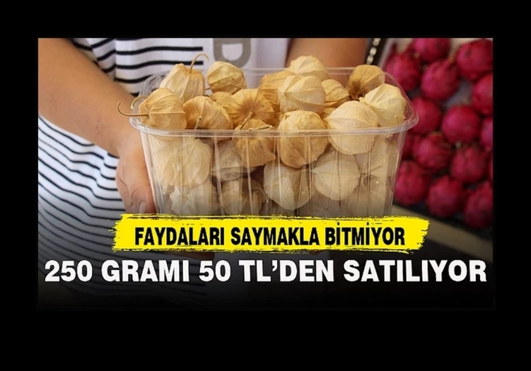 Faydaları saymakla bitmiyor, 250 gramı 50 TL