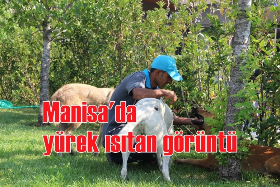 Manisa