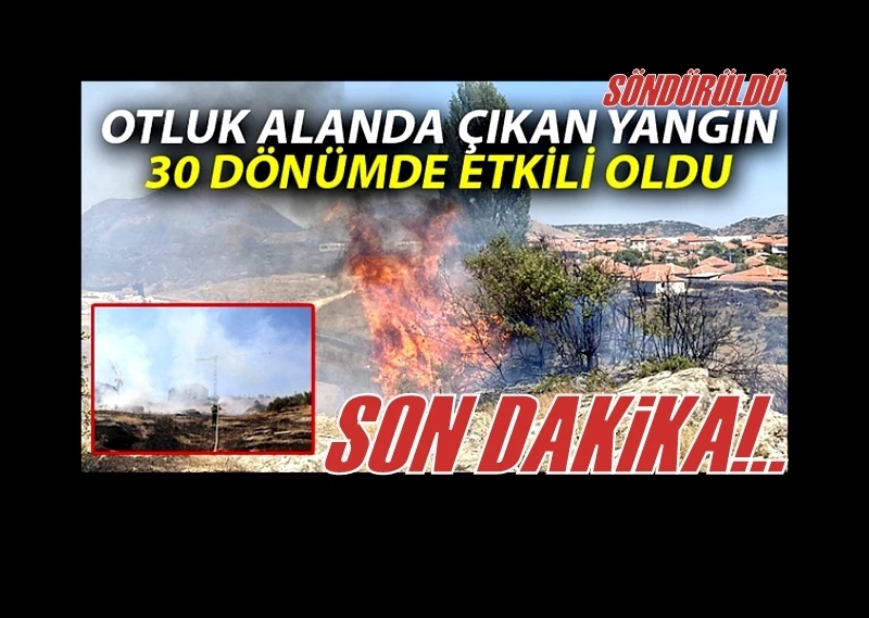 Otluk alanda çıkan yangın 30 dönümde etkili oldu