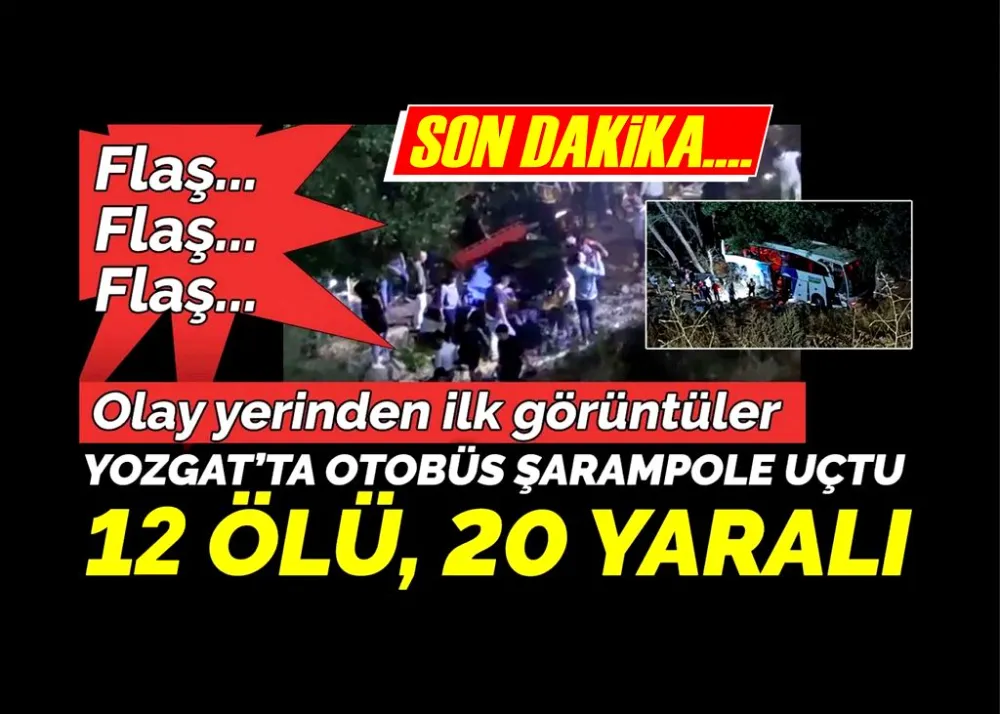 Yolcu otobüsü şarampole uçtu: 12 ölü