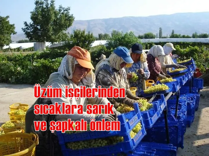 Üzüm işçilerinden sıcaklara sarık ve şapkalı önlem