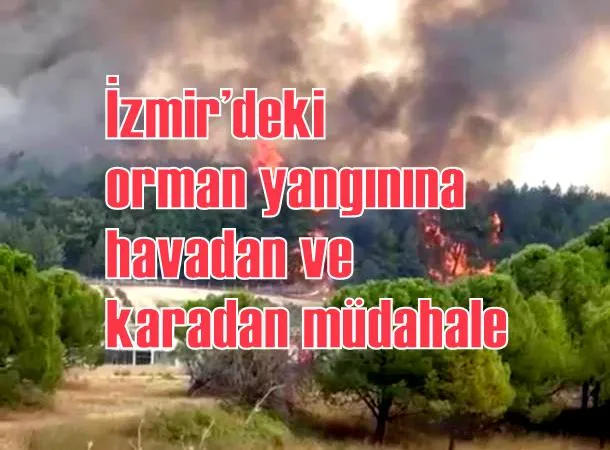 İzmir’deki orman yangınına havadan ve karadan müdahale