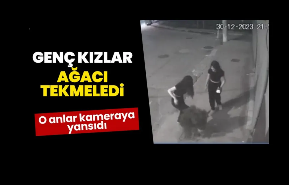 2 genç kızın kaldırımdaki ağacı tekmeledikleri anlar kamerada