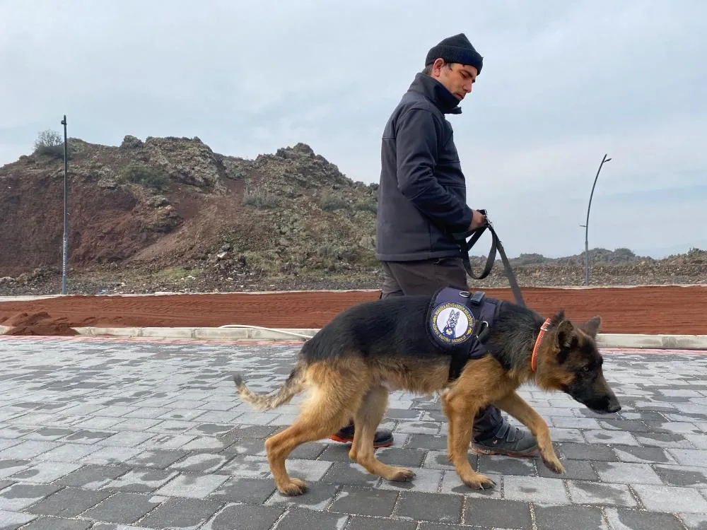 Büyükşehirin projesiyle sokak hayvanları yuva buluyor