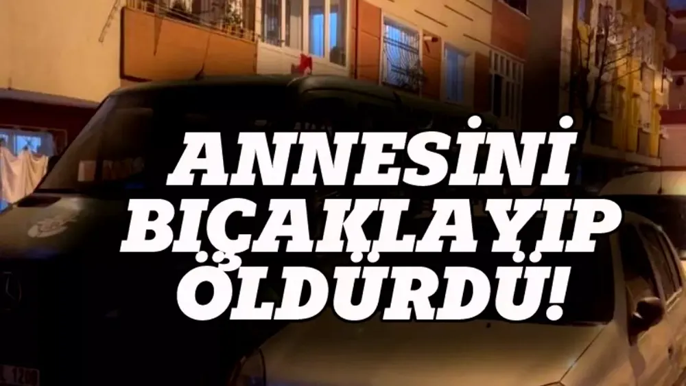 Psikolojik sorunları olan bir kişi annesini bıçaklayarak öldürdü