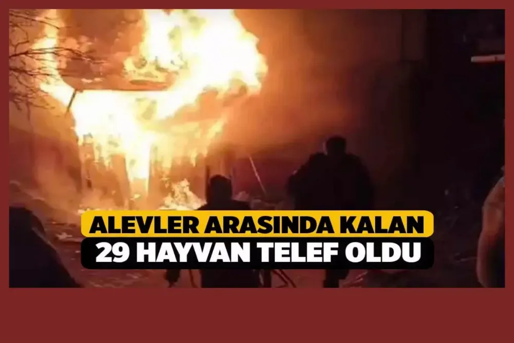 Alevler arasında kalan 29 küçükbaş hayvan telef oldu