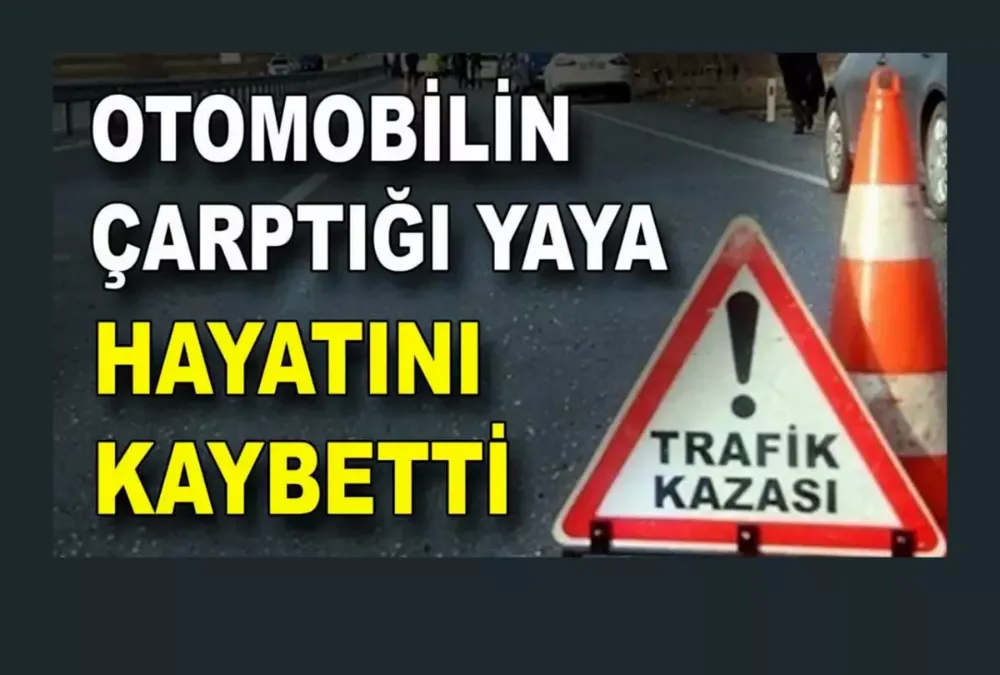 Otomobilin çarptığı yaya hayatını kaybetti