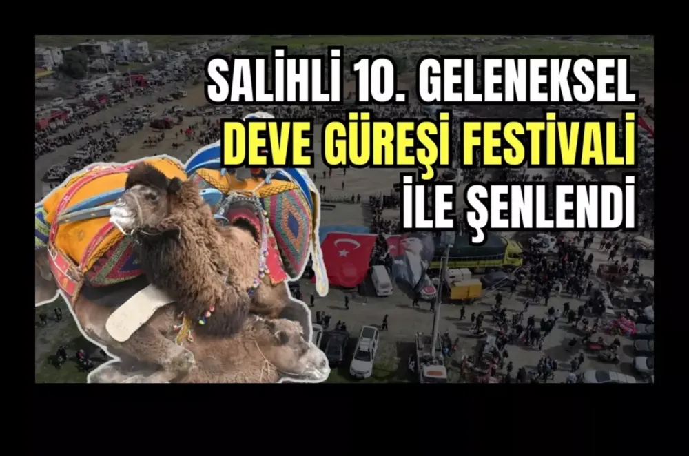 10. Salihli Deve Güreşleri Festivali yapıldı