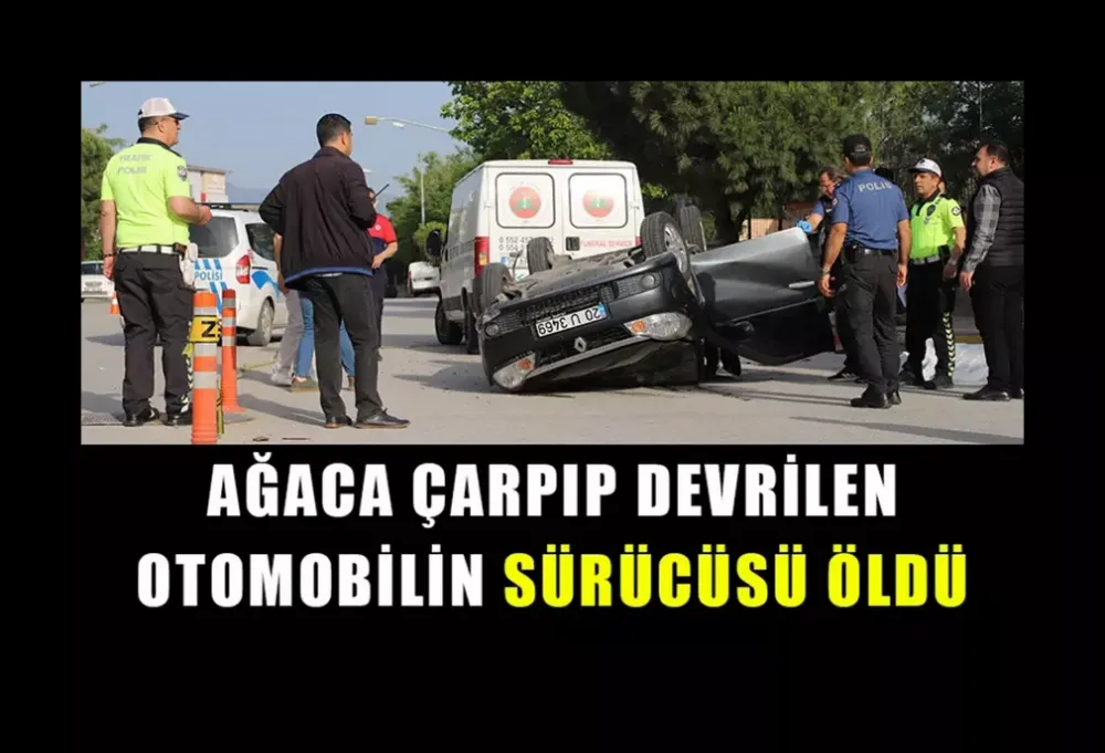 Ağaca çarpıp devrilen otomobil sürücüsü hayatını kaybetti