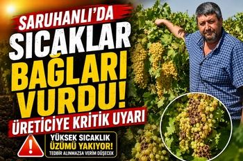 Saruhanlı’da sıcaklar bağları vurdu! Üreticiye kritik uyarı